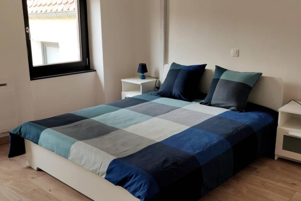 Le Blue, Appartement De Standing En Hyper-Centre Sarreguemines Dış mekan fotoğraf